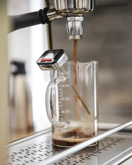 Freshly brewed tea extracting from the teapresso machine into a glass pitcher